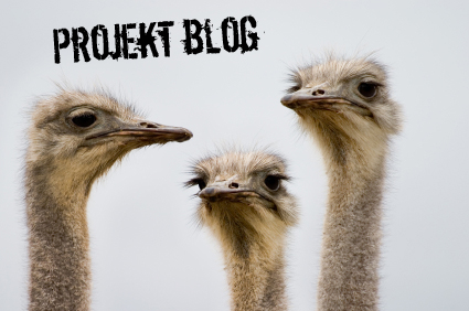 projekt blog