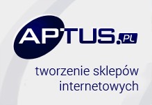 aplikacje internetowe dla biznesu